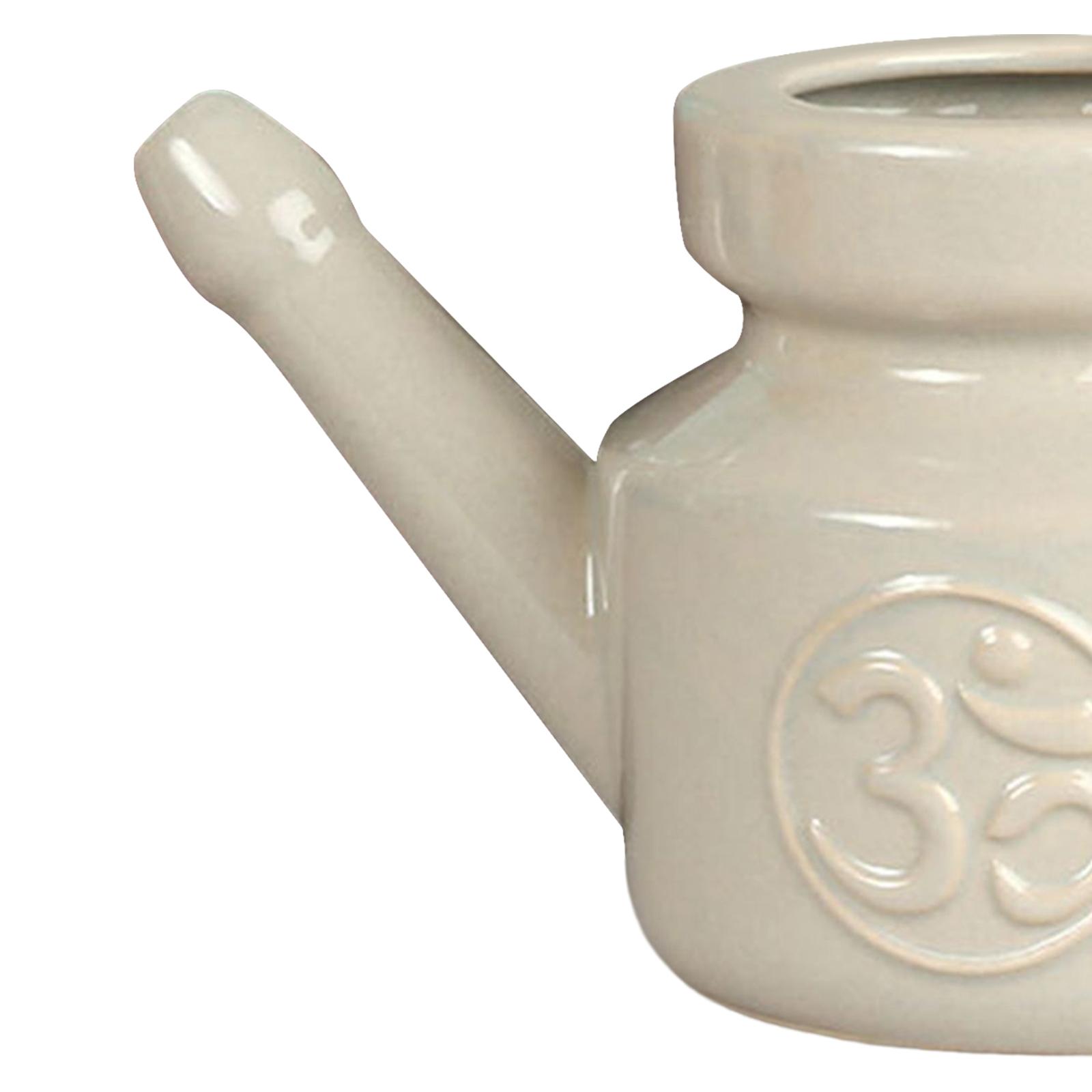 350ml Spout Pot Nasal Cleansin - Neti Pot Nasal Rinse review and price